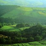 Khao Yai National Park - Nakhon Ratchasima, Thailand