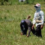 Manobo, river people of Cotabato