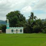 The last Tribes of Mindanao, the Maguindanaons, people of the flood plains. 