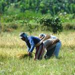The last tribes of Mindanao, the Bagobo, the New People.