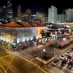 Singapore Chinatown (Photo copyright William Cho)