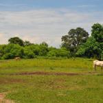Philippines, Mindanao Countryside.   Rural Scenery.