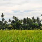 Mindanao, Mores & Myths