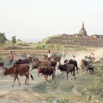 Mrauk U life