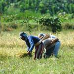 Mindanao, ”Bahala Na”, The Filipino Way 
