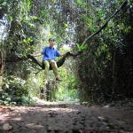 Me sitting on Bauhinia sp. in Kebun Raya Bogor
