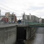 My neighborhood (Shinjuku)