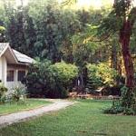 Grotto of Our Lady of Lourdes.
