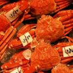 These brilliant crabs are displayed for sale at one of countless thousands of fresh fish markets throughout Japan.