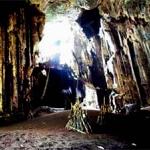 Part of the rattan ladder constructed to harvest birds' nests.