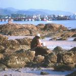 Collecting shellfish on the beach at Hua Hin
