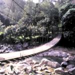 Footbridge over a ravine in Northwestern Thailand.