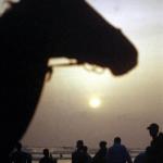 A view of a beach in Cox's Bazar resort during sunset, 06 December 2002. Bangladesh's fledgling but troubled tourism industry is slowly luring foreign and domestic travellers with one of the most popular destinations this winter being this beach resort town of Cox's Bazar on the Bay of Bengal, which drew sun-worshippers from as far away as Europe and Southeast Asia.