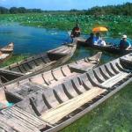 Pirogues lined up near the Tra Su Forest Reserve.