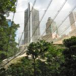 Taken from the very cool aviary in Hong Kong Park, a fave spot for avians & those who wish they were.