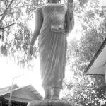 Chiang Mai, Thailand. Each of the poses of the Buddha has a meaning: in this image, the Buddha dispels fear and conveys benevolence and peace.