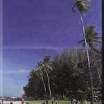 The Breathtaking Pantai Cahaya Bulan