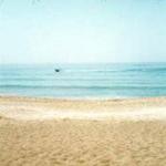 The Ultimate Honey Moon Island