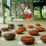 Watching the tops in action