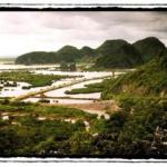 The limestone ridges of Cat Ba rise dramatically from the sea.