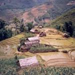 Huts among the paddy fields on day one of trek