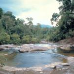 Upeh Guling Cascades