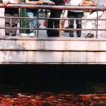 My Family Members and I...