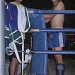 Between rounds, this boxer in blue and his trainer graciously offered their smiles, seconds before the boxer bounded into the ring and gave his opponent a stiff, breathtaking kick to the groin.