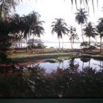 A view of the gardens at Golden Buddha Resort. The gardens attract a wide variety of plant life.