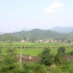 Scenery along the train tracks