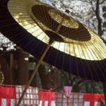 Beautiful lacquered paper umbrellas called kasa are a present-day reminder of the grace and elegance of Japan's bygone courtly era, known as ukiyo-e, the floating world.