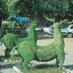 Tops in topiary: a park overlooking the Mekong River, at Neak Luong