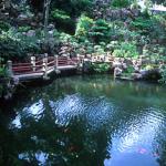 Shanghai's YuYuan Gardens, in the Old Shanghai area.