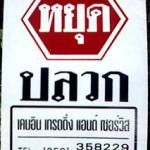 Chiang Mai, Thailand. Ah, the folly of humanity. This sign for a termite exterminator service could well appear above a heap of the pests after one of their awe-inspiring swarms.
