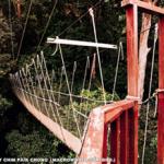 Part of the canopy walkway.