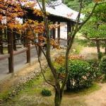 Scene at Tofukuji