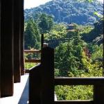 View from the veranda.